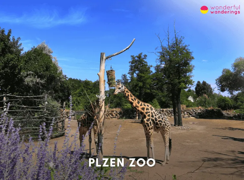 Plzen Zoo