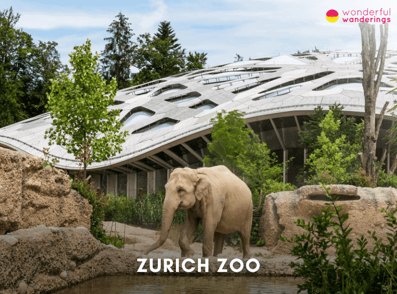 Zurich Zoo