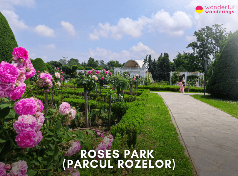 Roses Park (Parcul Rozelor)