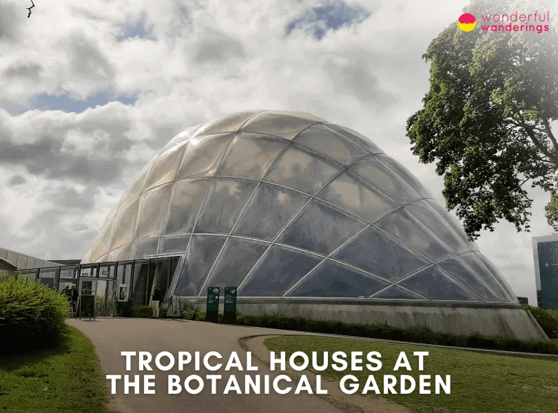Tropical Houses at the Botanical Garden