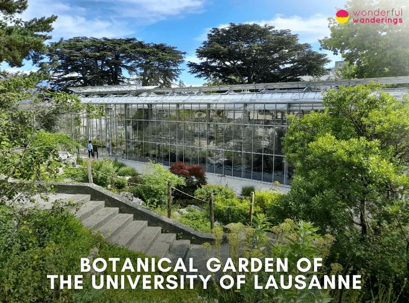 Botanical Garden of the University of Lausanne