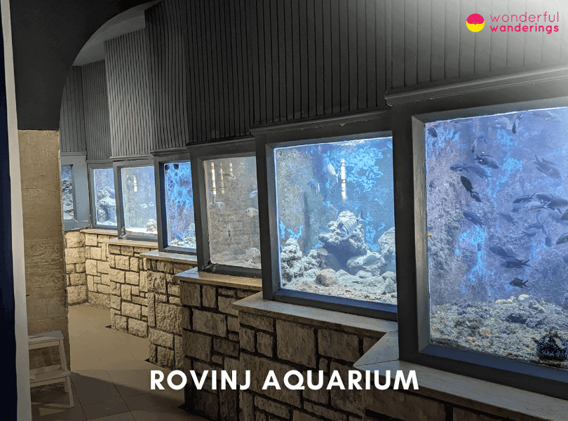 Rovinj Aquarium