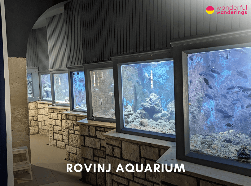 Rovinj Aquarium