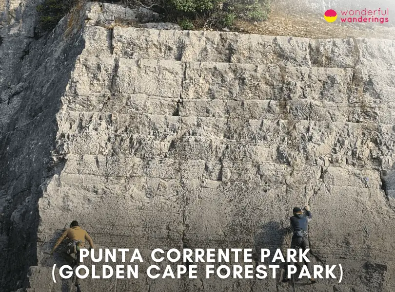 Punta Corrente Park (Golden Cape Forest Park)