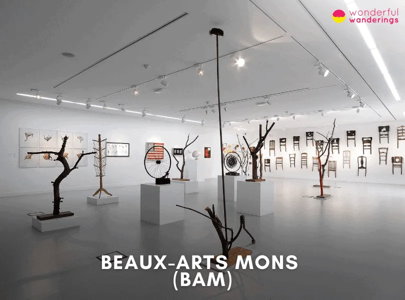 Beaux-Arts Mons (BAM)