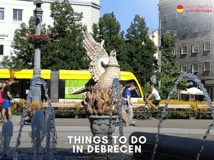 Debrecen Travel Guide: 18 Best Things to do in Debrecen, Museums and History 19