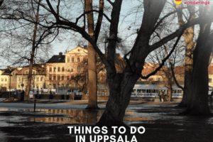 Uppsala Things to Do