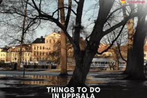 Uppsala Things to Do