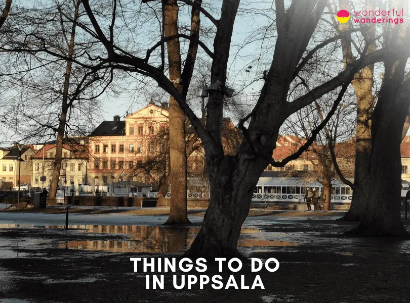 Uppsala Things to Do
