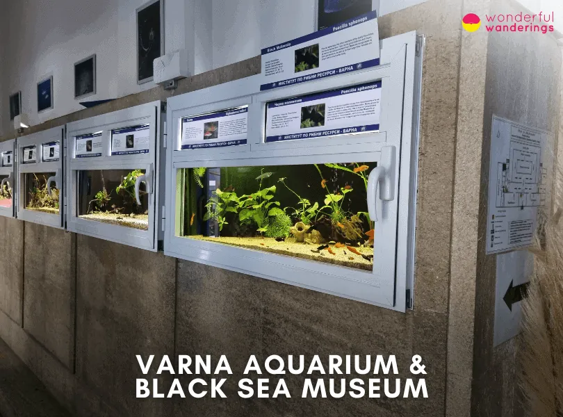 Varna Aquarium