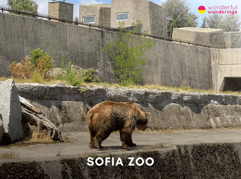 Sofia Zoo