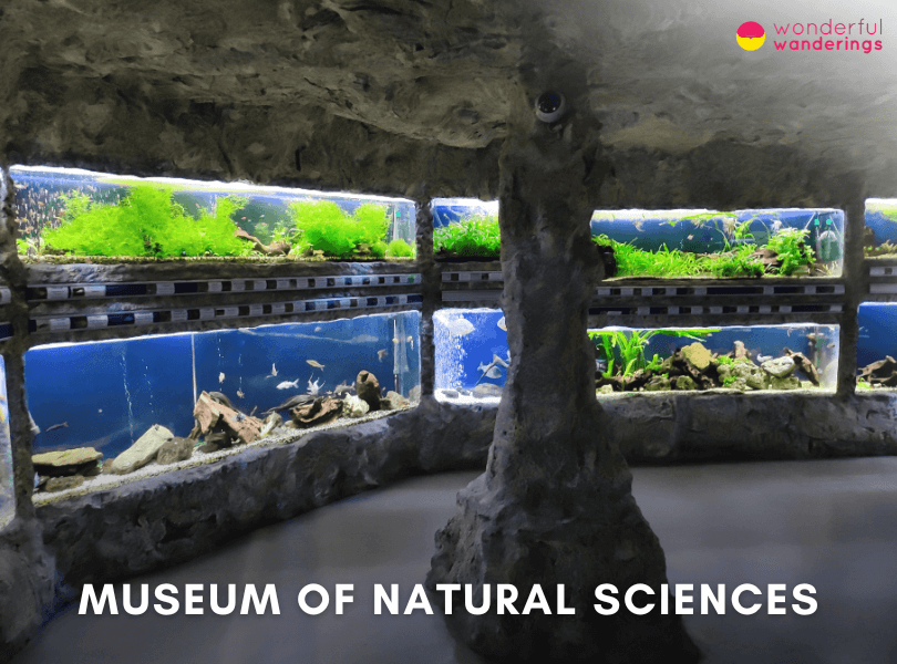 Museum of Natural Sciences