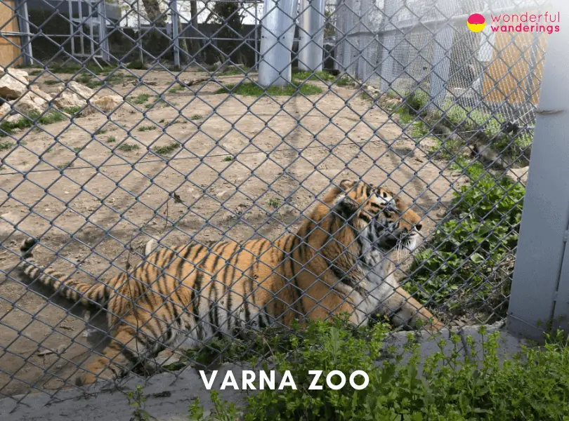 Varna Zoo