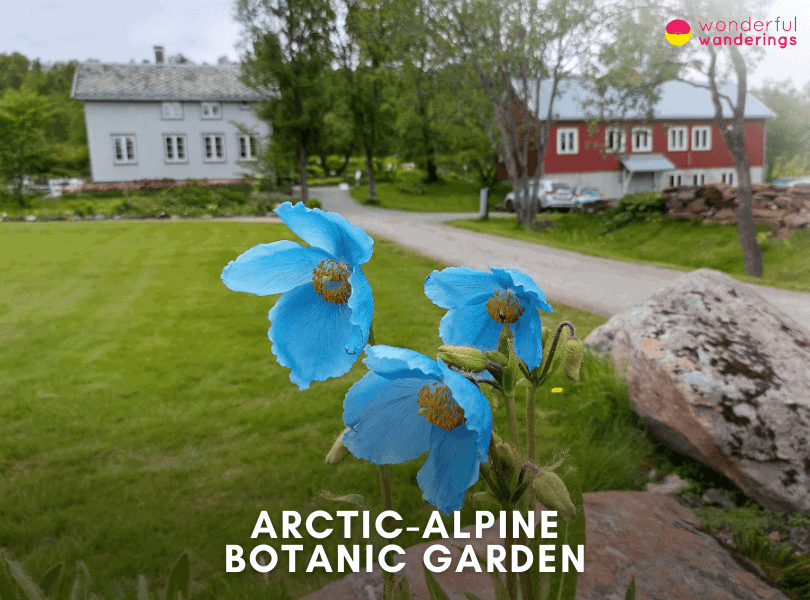 Arctic-Alpine Botanic Garden