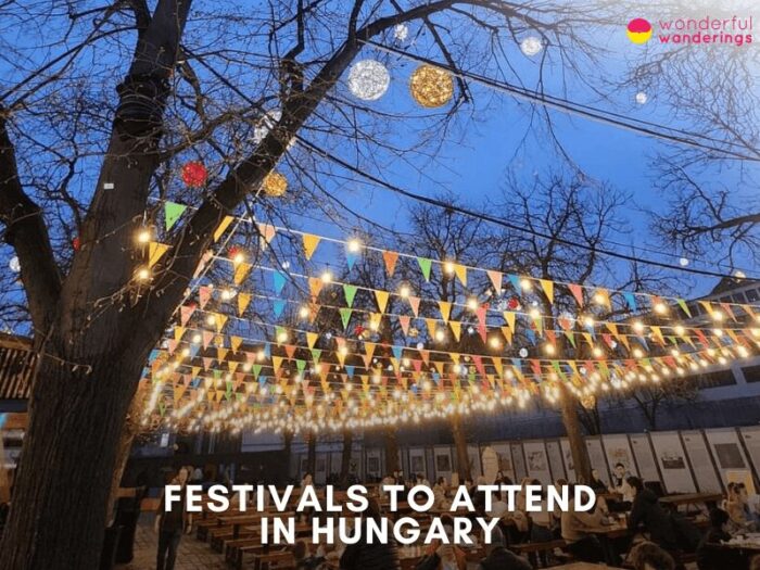 14 Top Festivals to Attend in Hungary for 2024 10