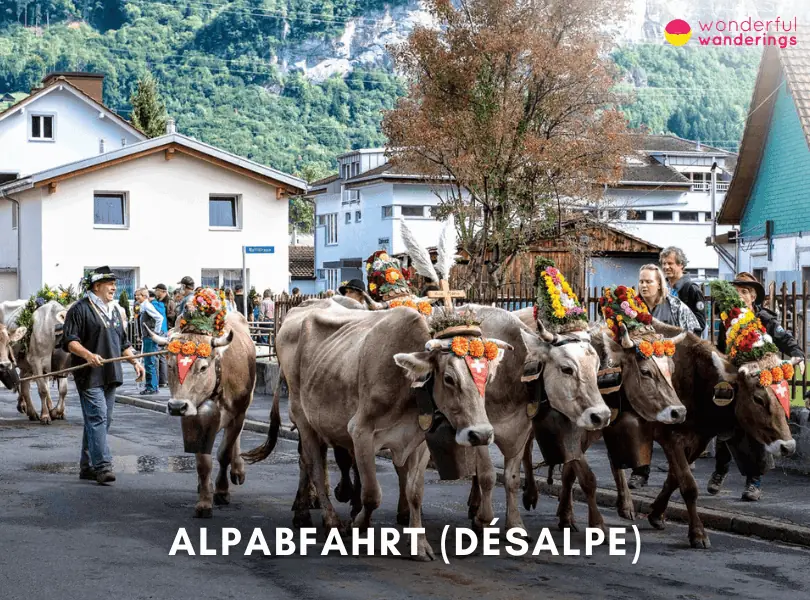 Alpabfahrt (Désalpe)