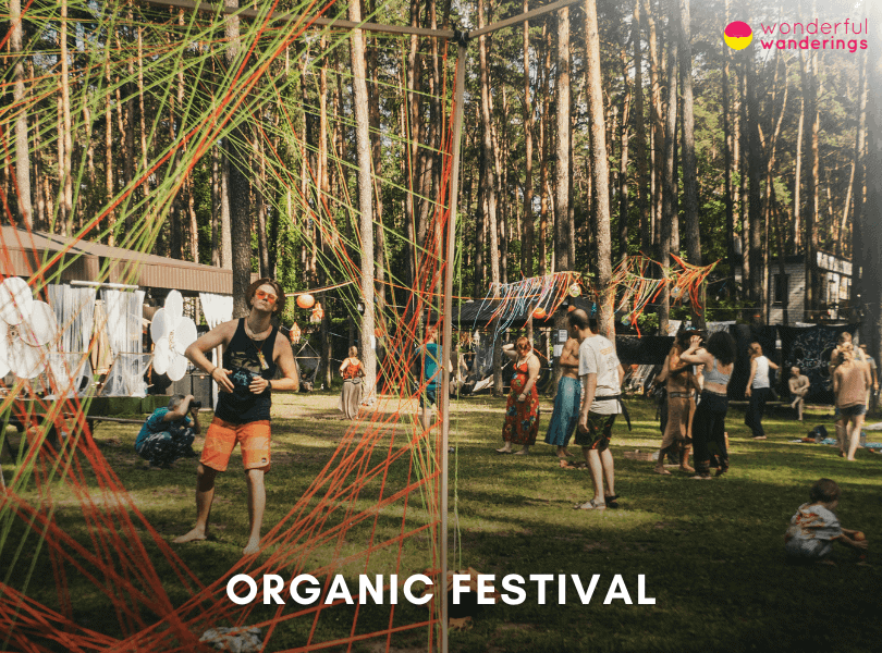 Organic Festival