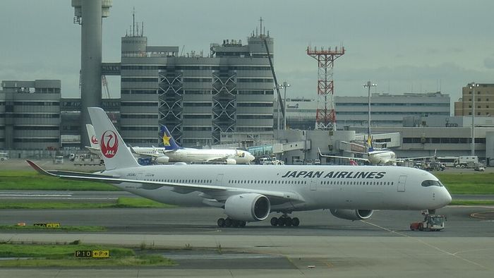JAL Premium Economy Review: Seat Map, Fees and Cost 1