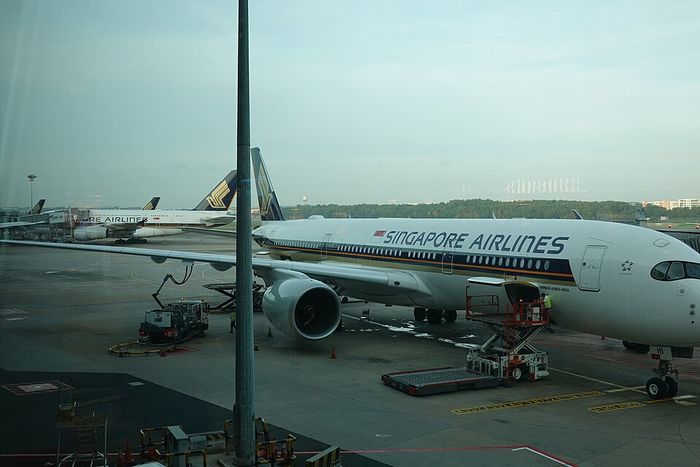 Singapore Airlines Premium Economy: Seat Map, Fees, Cost 3