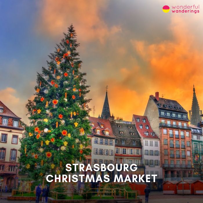 Strasbourg Christmas Market title card: the great Christmas tree on Place Kléber with the cathedral spire behind